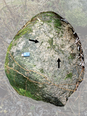 Камень находится в 18-ти метрах от дома В.В Перепеча