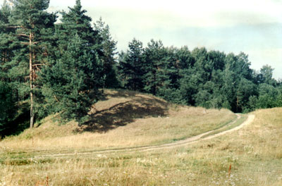 Вид на Раёвский курган с юго-западной стороны