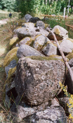 Типичная для этих мест каменно-валунная ограда