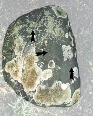 Петроглифический камень с символами неясного значения