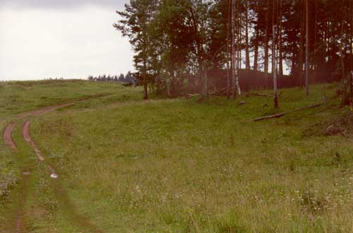 Вид на Раёвский курган с северной стороны