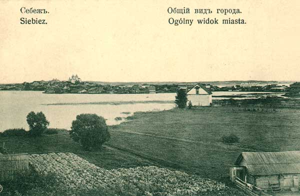 Почтовая открытка №3 Издание Б.Кушлиса 