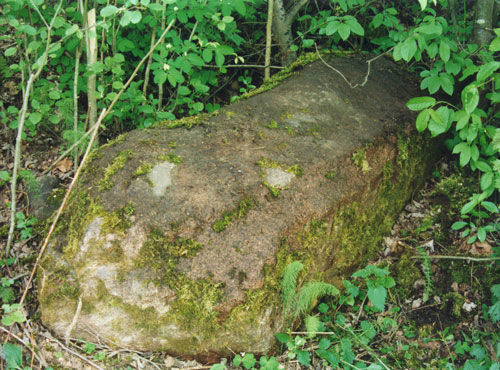 Антропоморфный камень в 15 метрах слева от дороги, при въезде в Шушково