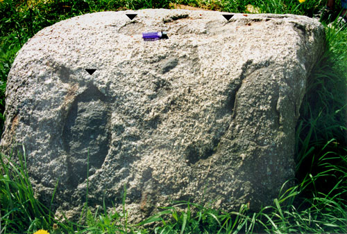 Типичный камень-следовик