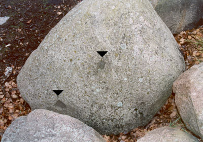 Камень-следовик. Общий вид