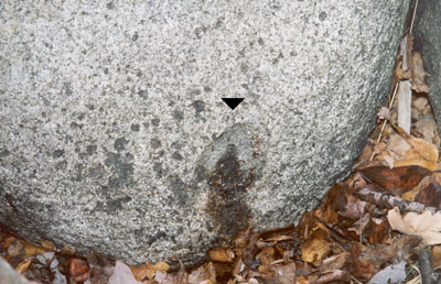 Камень-следовик. Изображение копыта